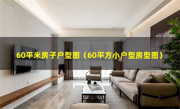 60平米房子户型图（60平方小户型房型图）