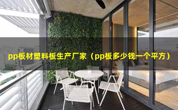 pp板材塑料板生产厂家（pp板多少钱一个平方）