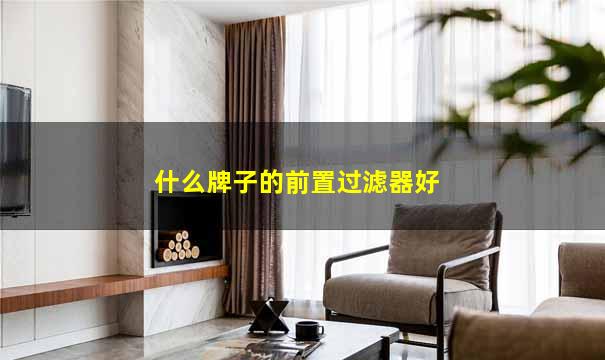 什么牌子的前置过滤器好