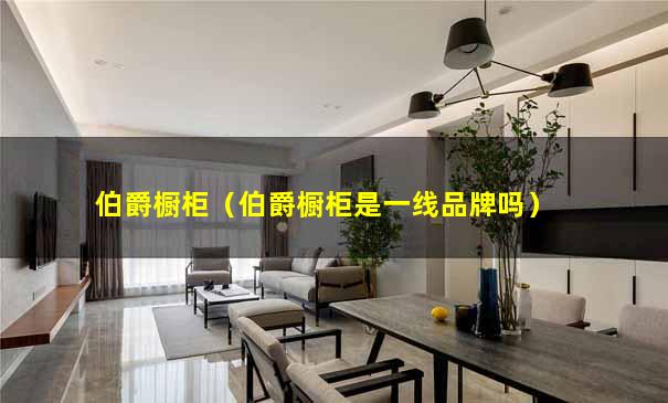 伯爵橱柜（伯爵橱柜是一线品牌吗）