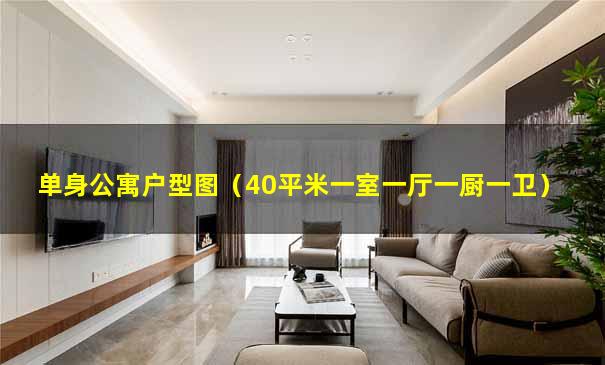 单身公寓户型图（40平米一室一厅一厨一卫）