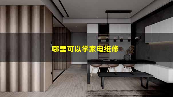 哪里可以学家电维修