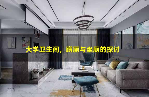 大学卫生间，蹲厕与坐厕的探讨