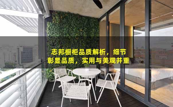 志邦橱柜品质解析，细节彰显品质，实用与美观并重