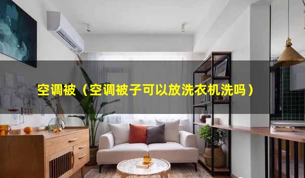 空调被（空调被子可以放洗衣机洗吗）