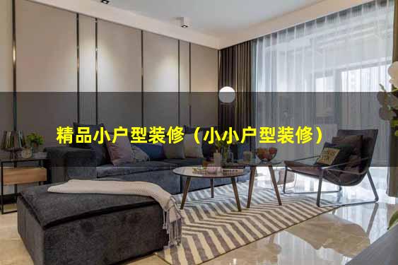 精品小户型装修（小小户型装修）