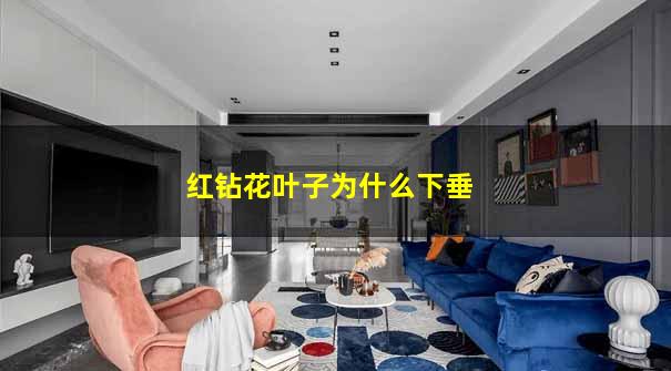 红钻花叶子为什么下垂