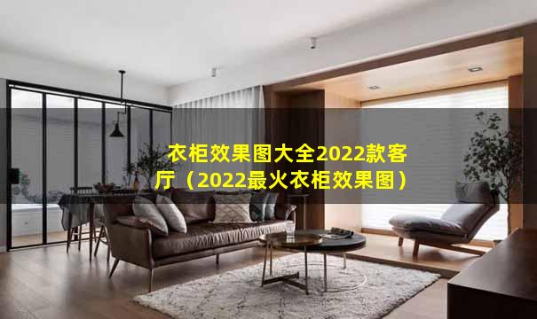 衣柜效果图大全2022款客厅（2022最火衣柜效果图）