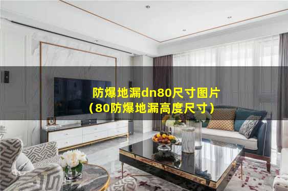 防爆地漏dn80尺寸图片（80防爆地漏高度尺寸）